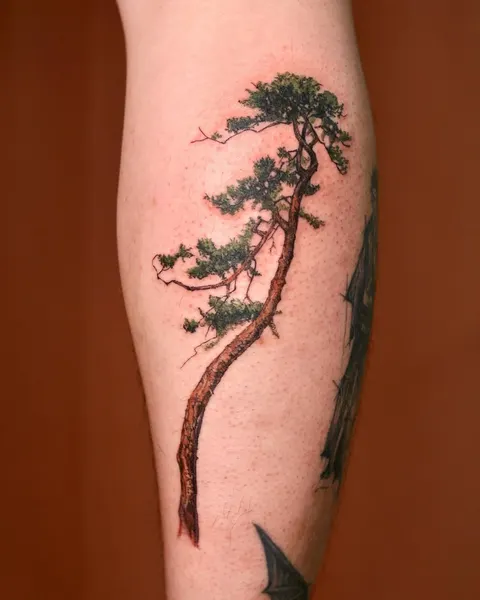 Nature, 소나무, 나무, 숲