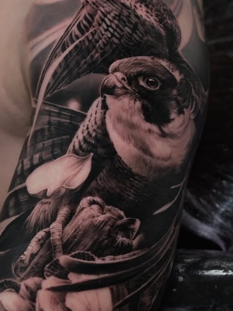 Animal