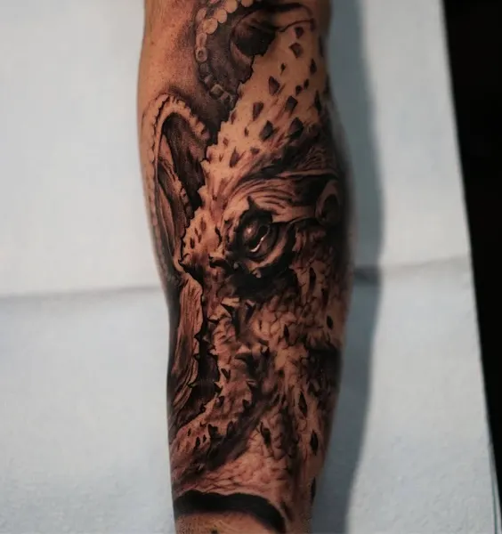 Animal