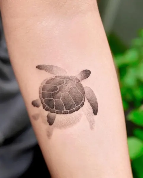 equilattera