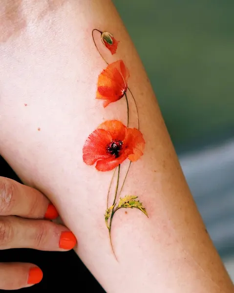 Flower, 양귀비, Rose