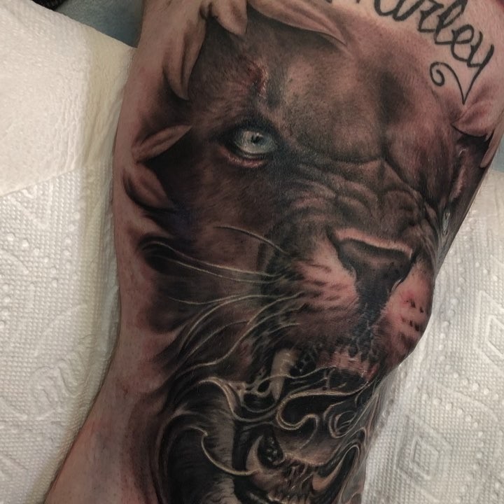 Tiger