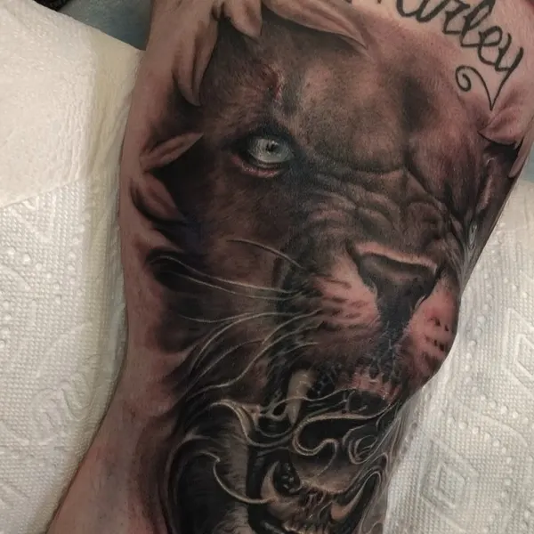 Tiger