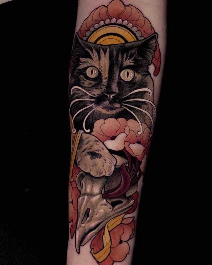 Tiger, Animal