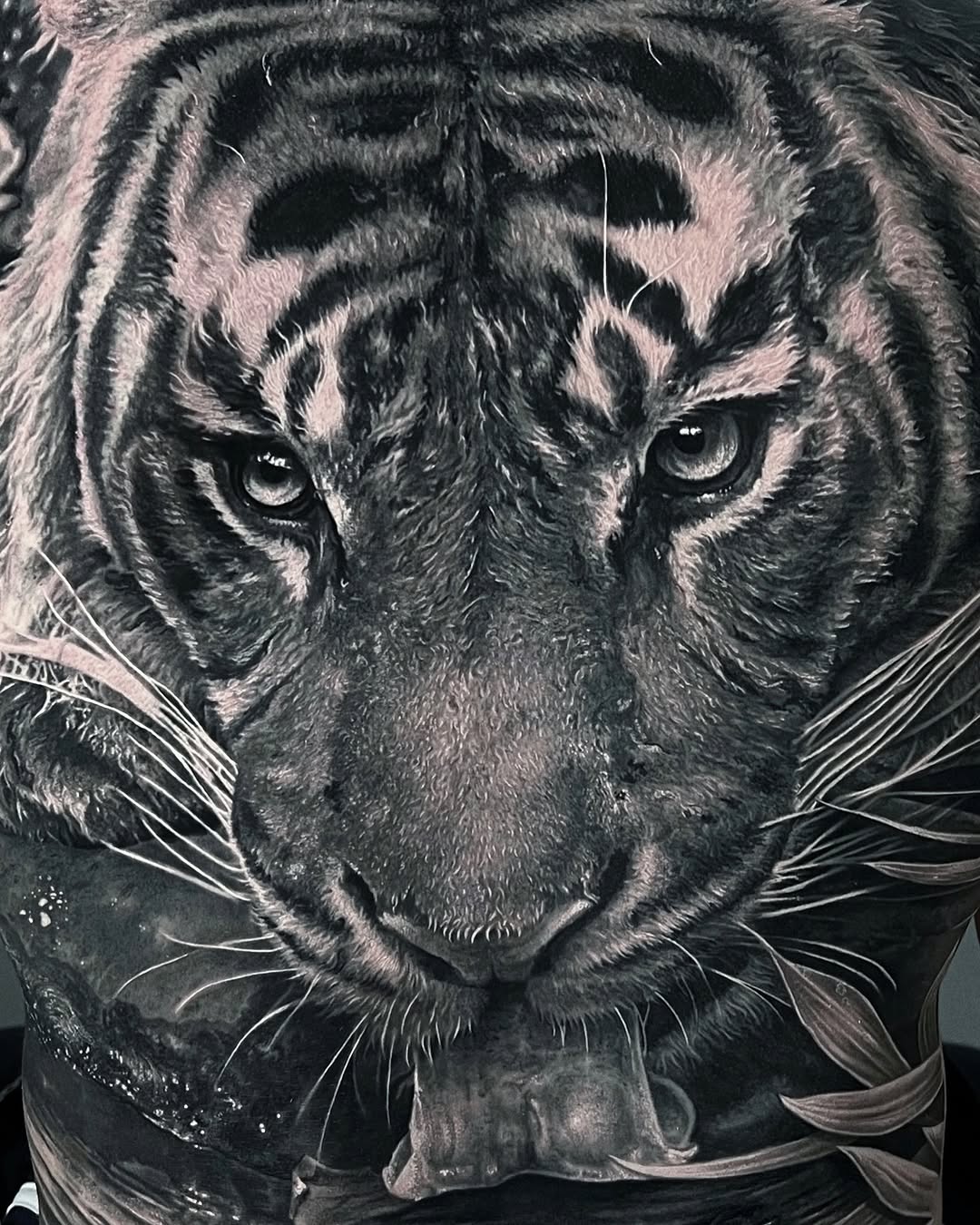 Tiger, 중국 호랑이