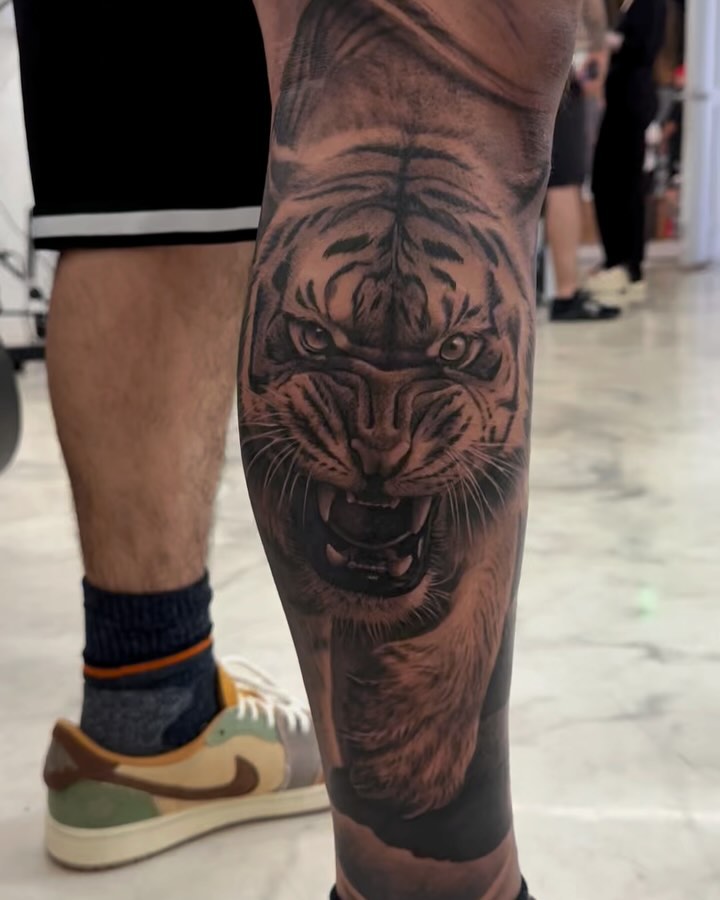 일본 호랑이, 한국 호랑이, 재규어, 사자자리, Tiger