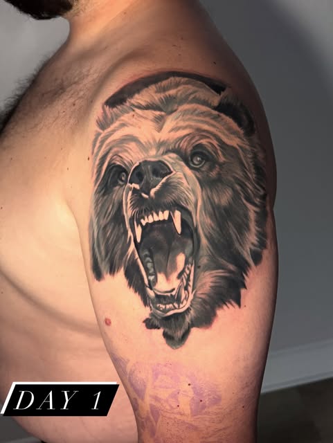 Animal
