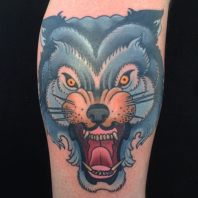 Tiger, Animal