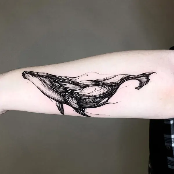 고래, 돌고래, 상어, Nature