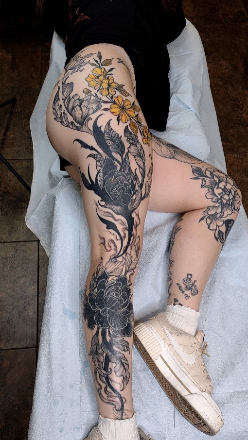 Dragon, Animal