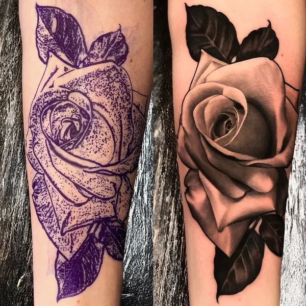 Flower, Rose