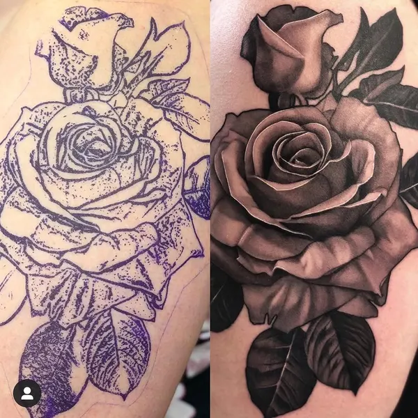 Flower, Rose