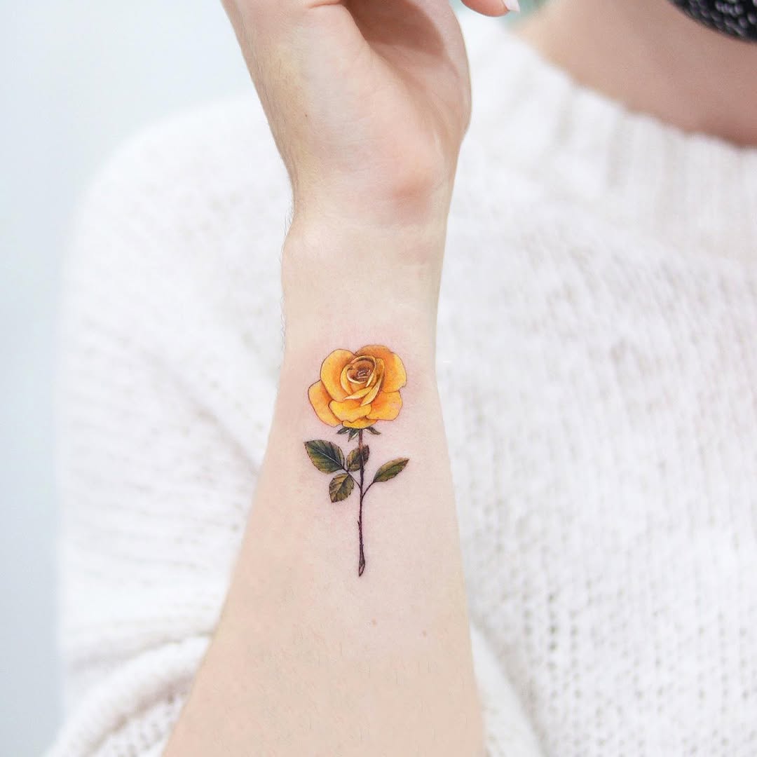 Flower, Rose