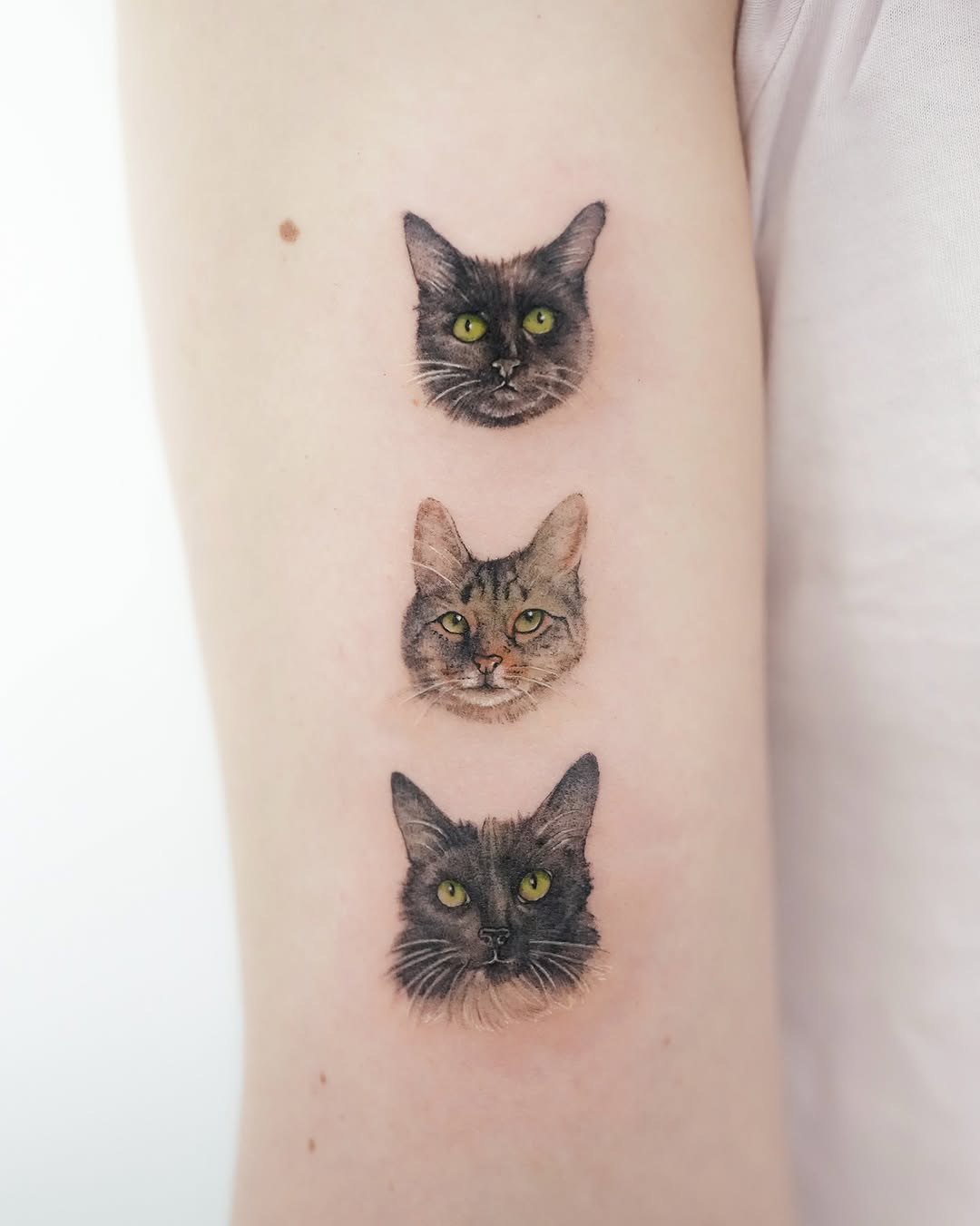 siren_ink