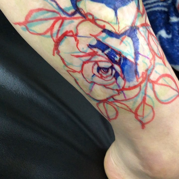 Flower, Rose
