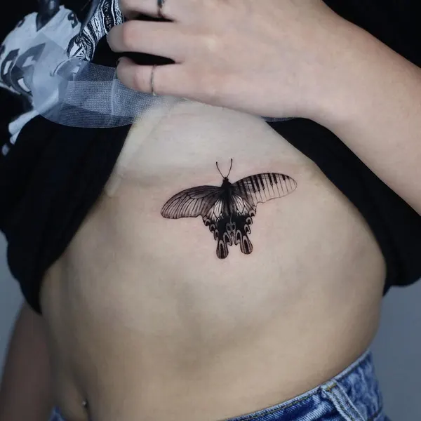 Animal, Nature, 나방, 매미