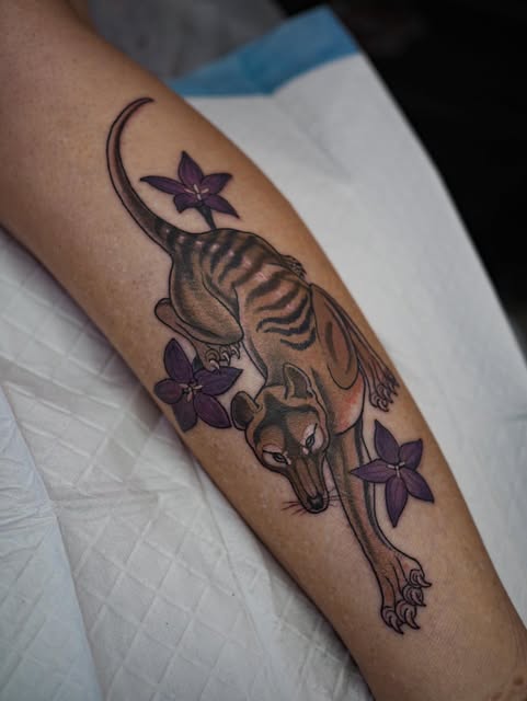 Tiger, Animal