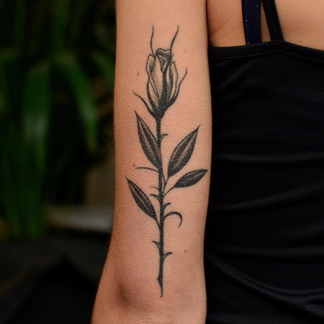 Flower, Rose