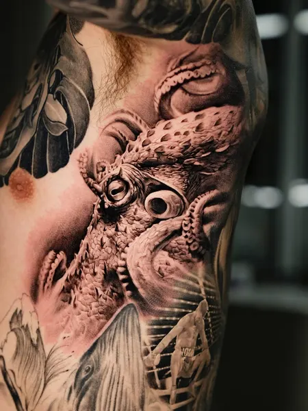 Animal