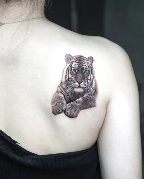 Tiger, 중국 호랑이, 한국 호랑이, 치타, 재규어