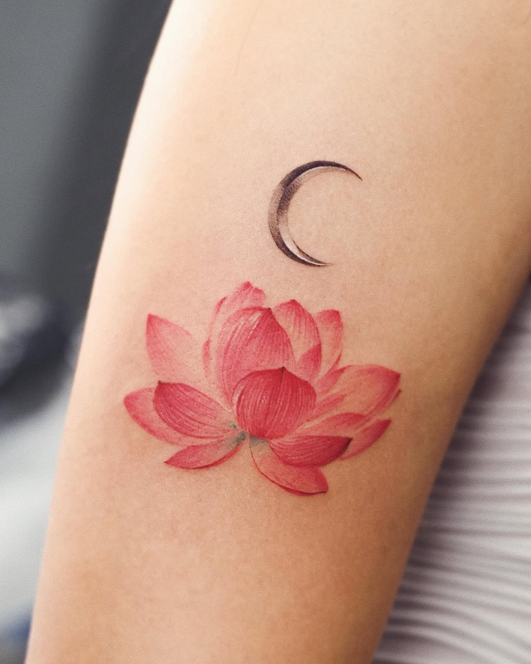 Flower, 연꽃