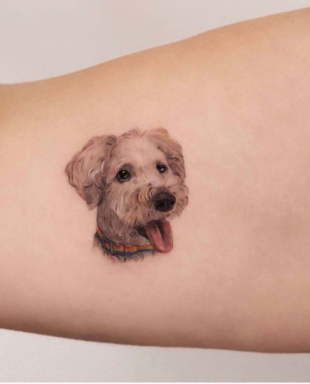 Animal, Mini