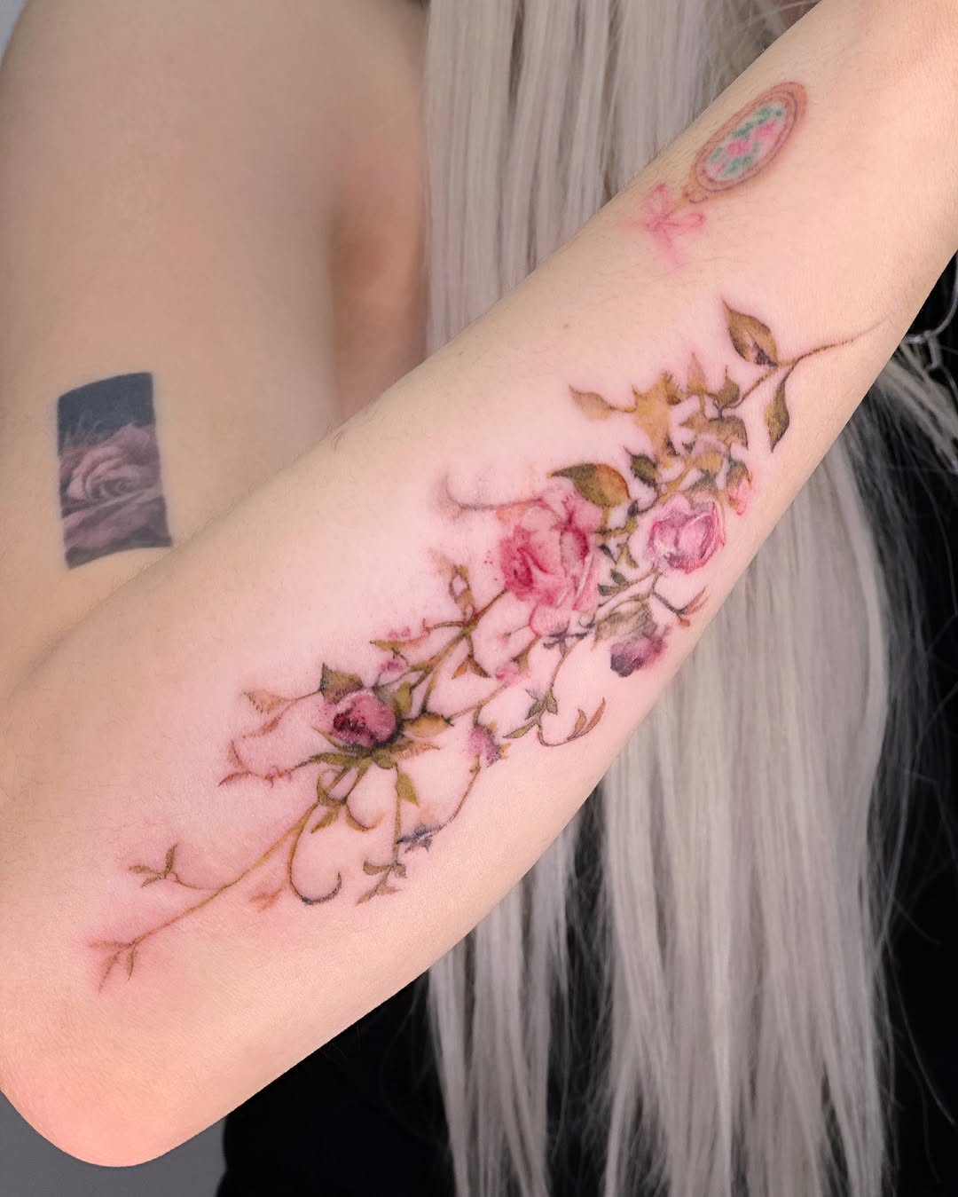 Flower, Rose