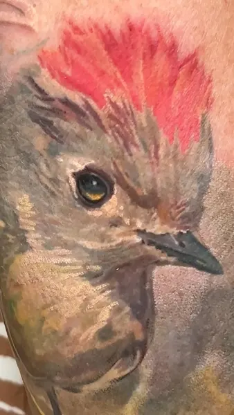 Animal