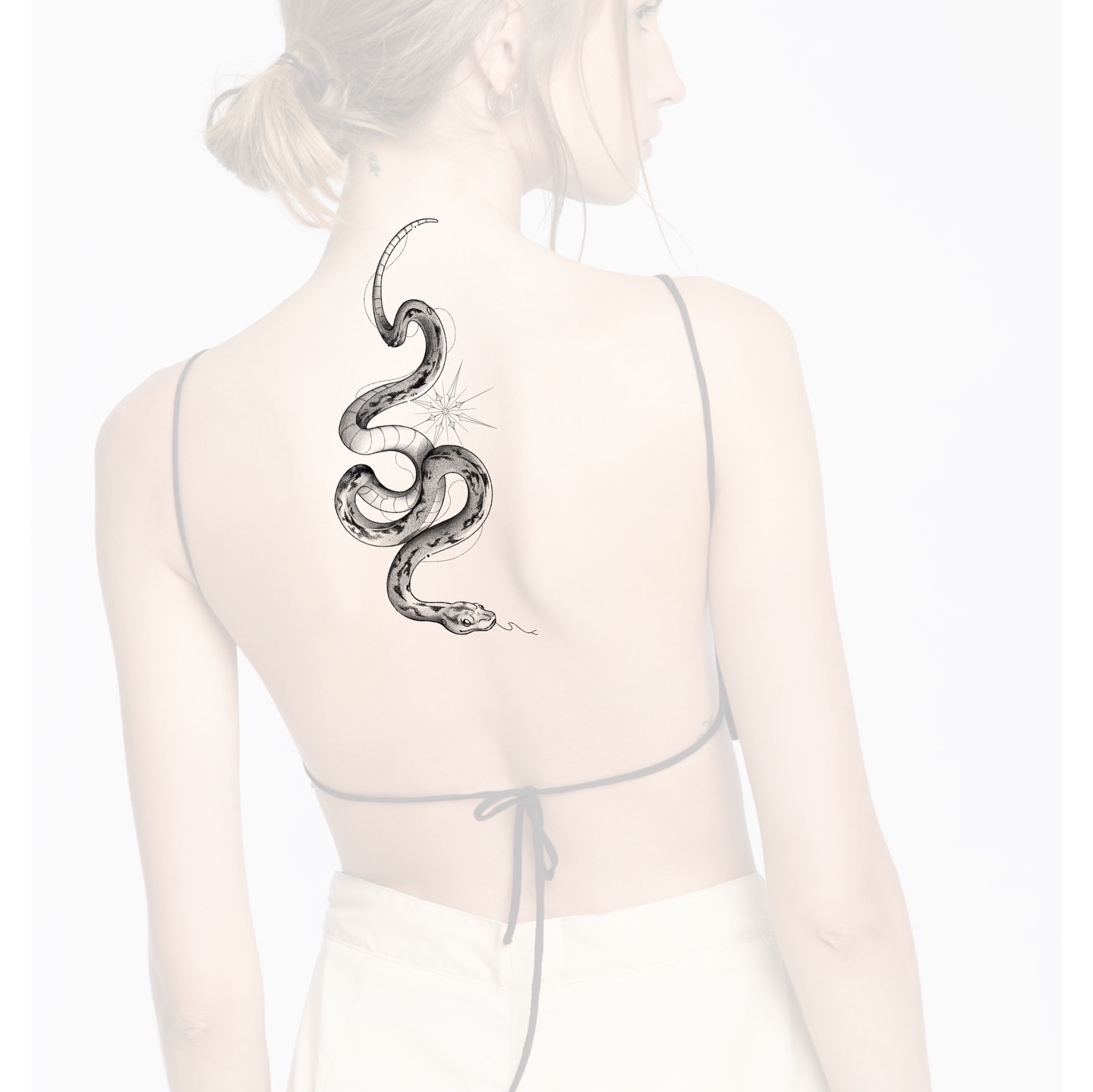 Snake, Dragon