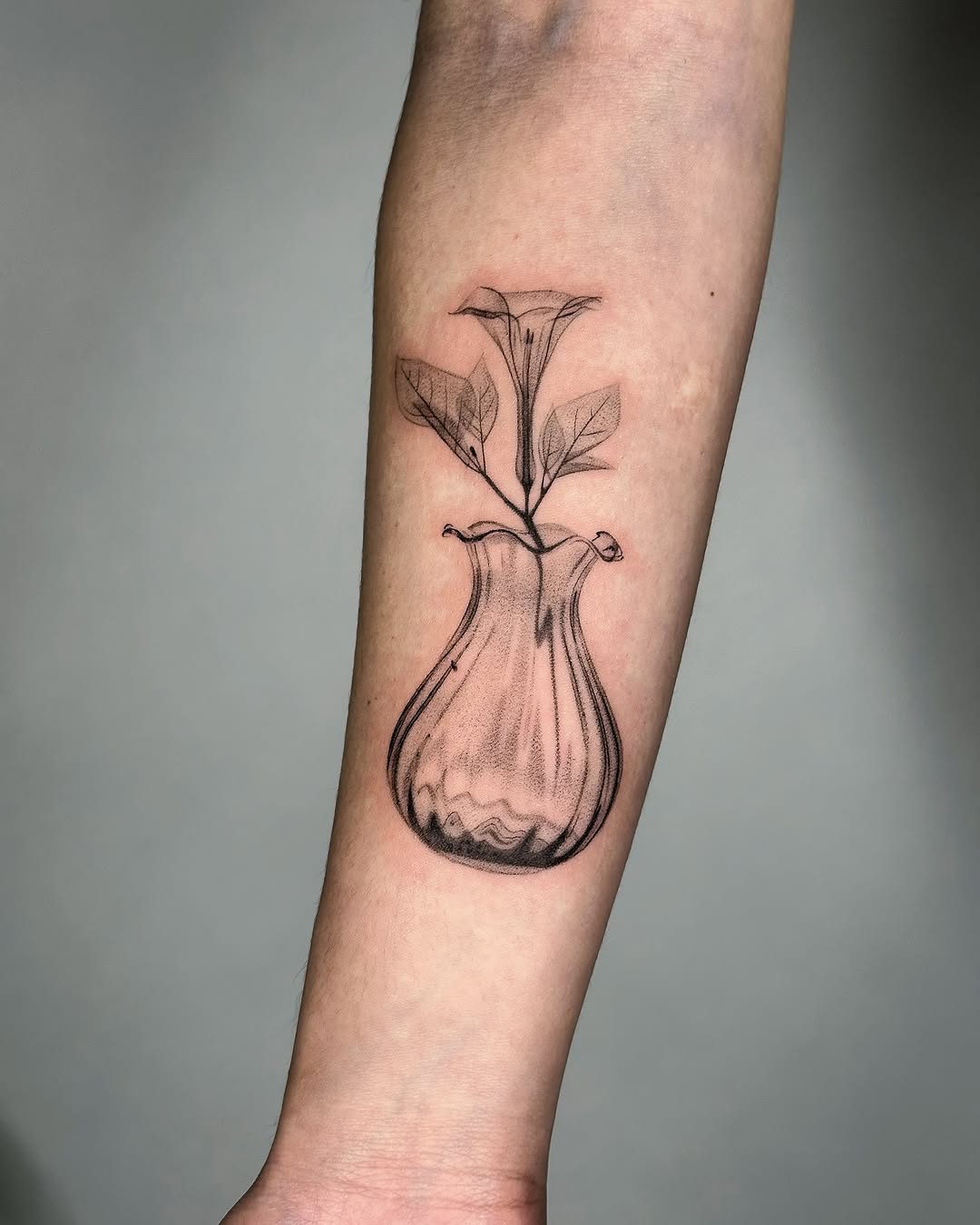 plantsnpokes