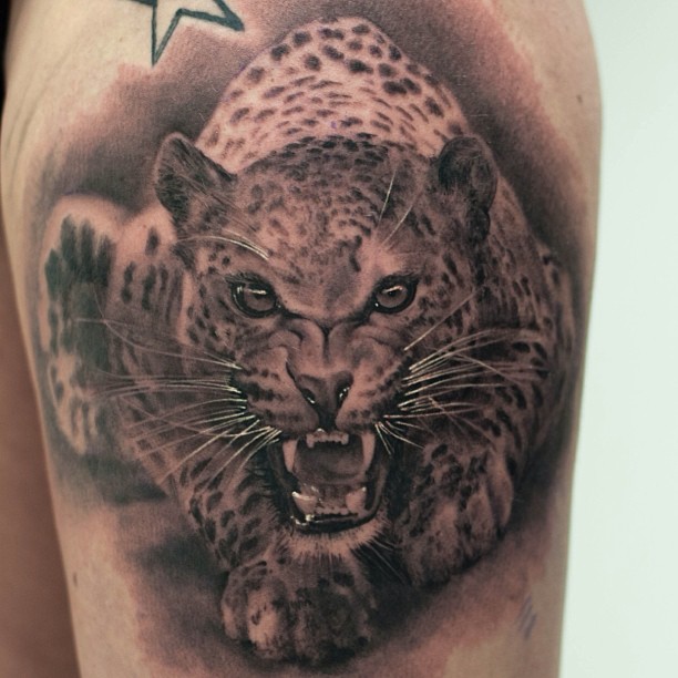 Animal