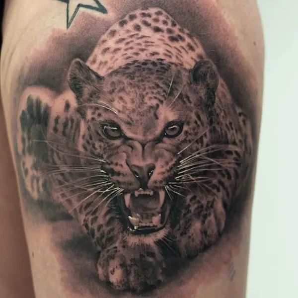 Animal