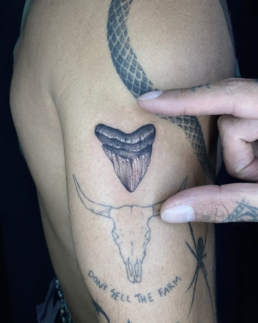 romeolacoste