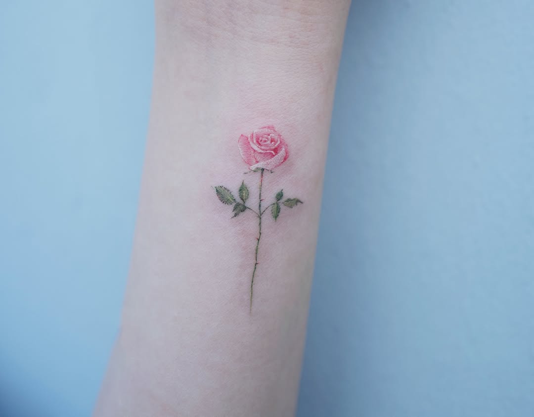 Rose, Flower