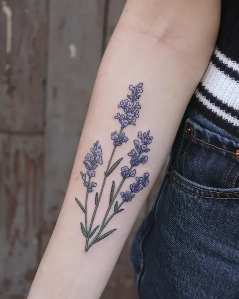 Flower, 라벤더, 허브