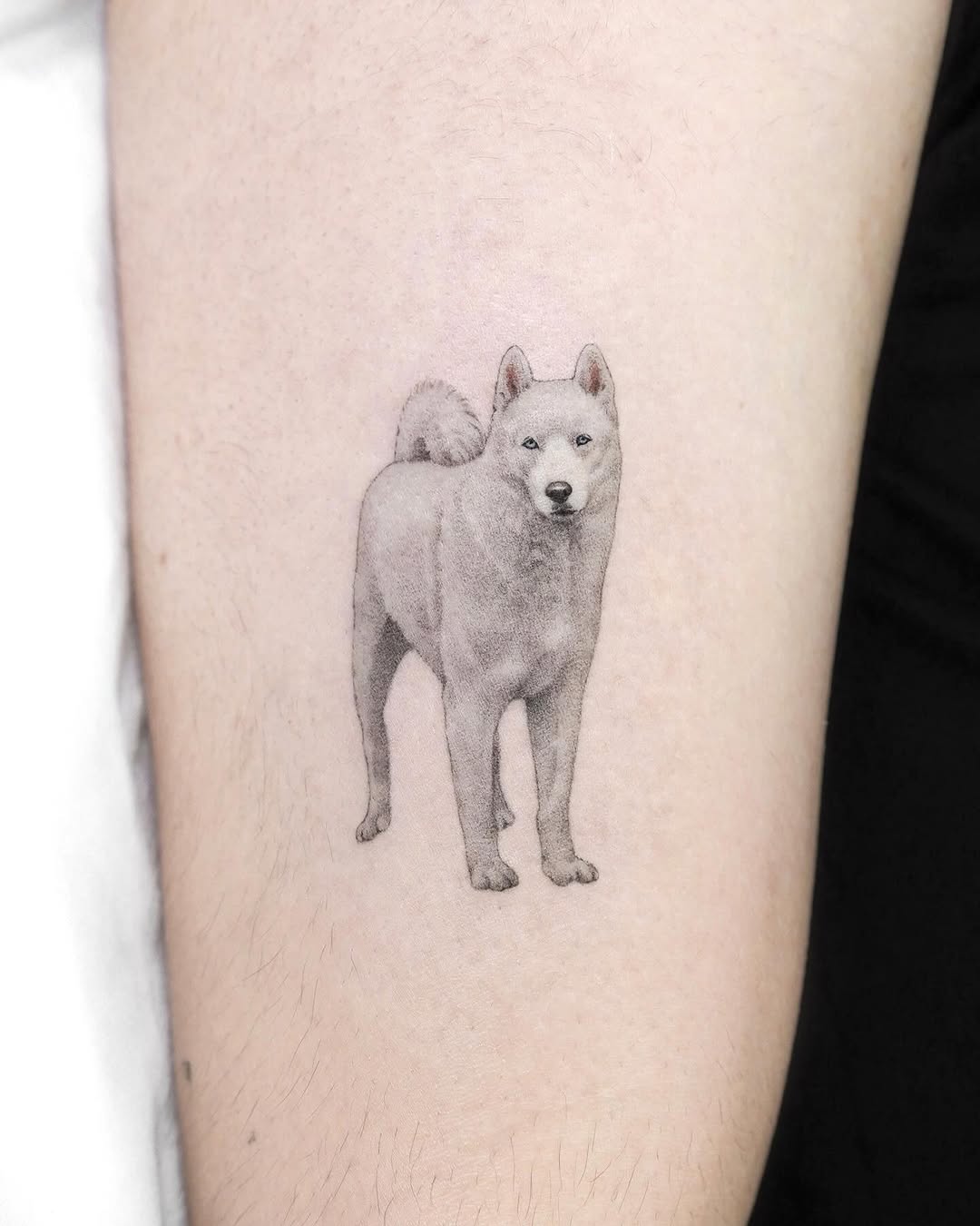 dorok.tattoo
