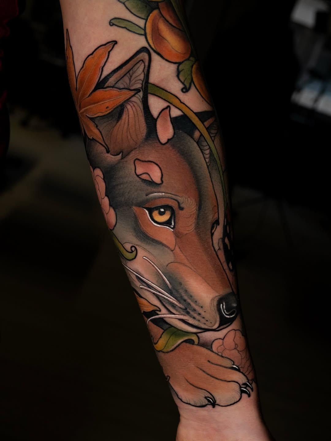 Animal