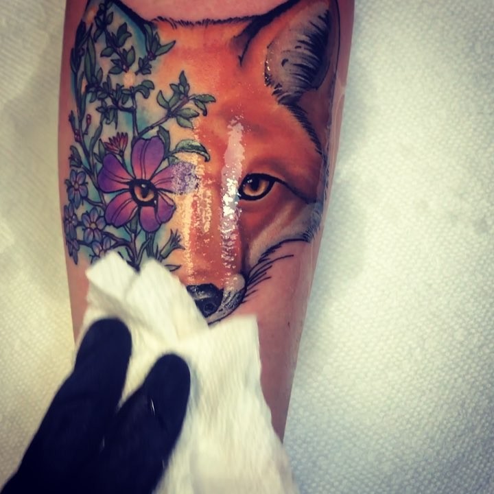 Animal
