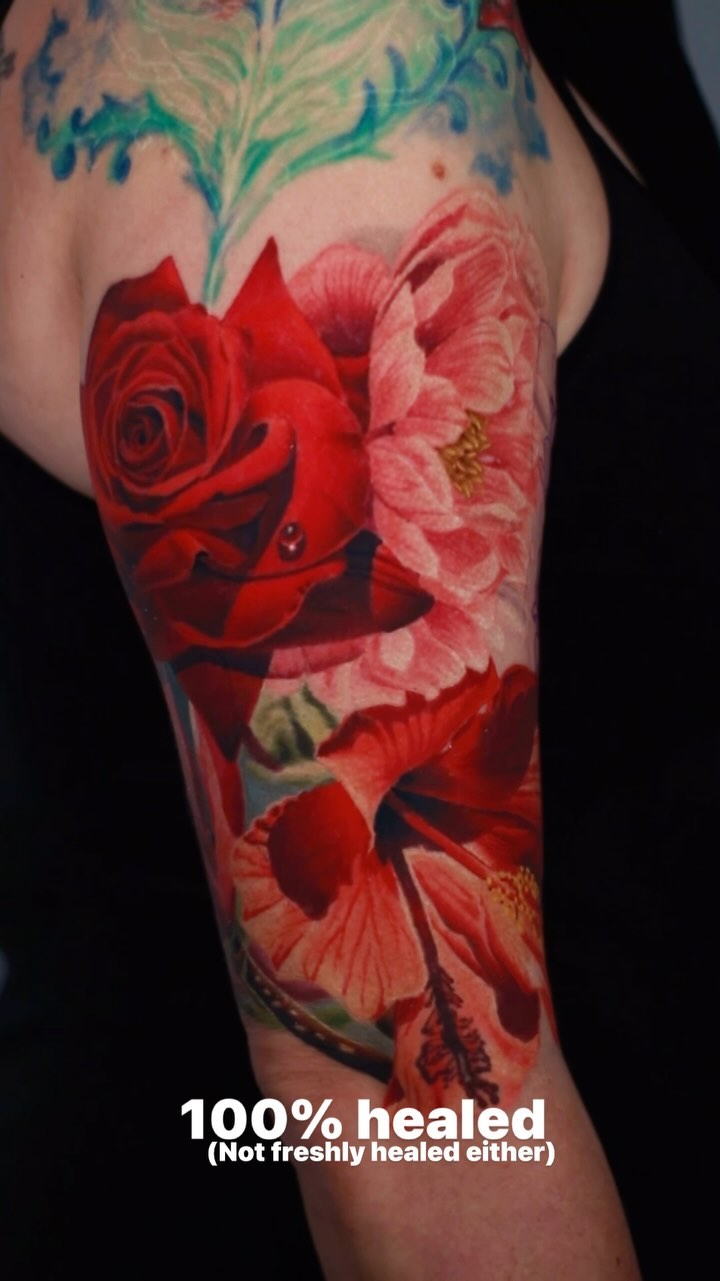 Flower, Rose