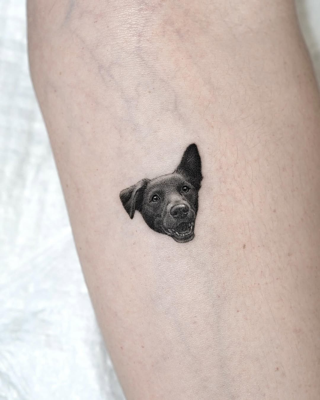 dorok.tattoo