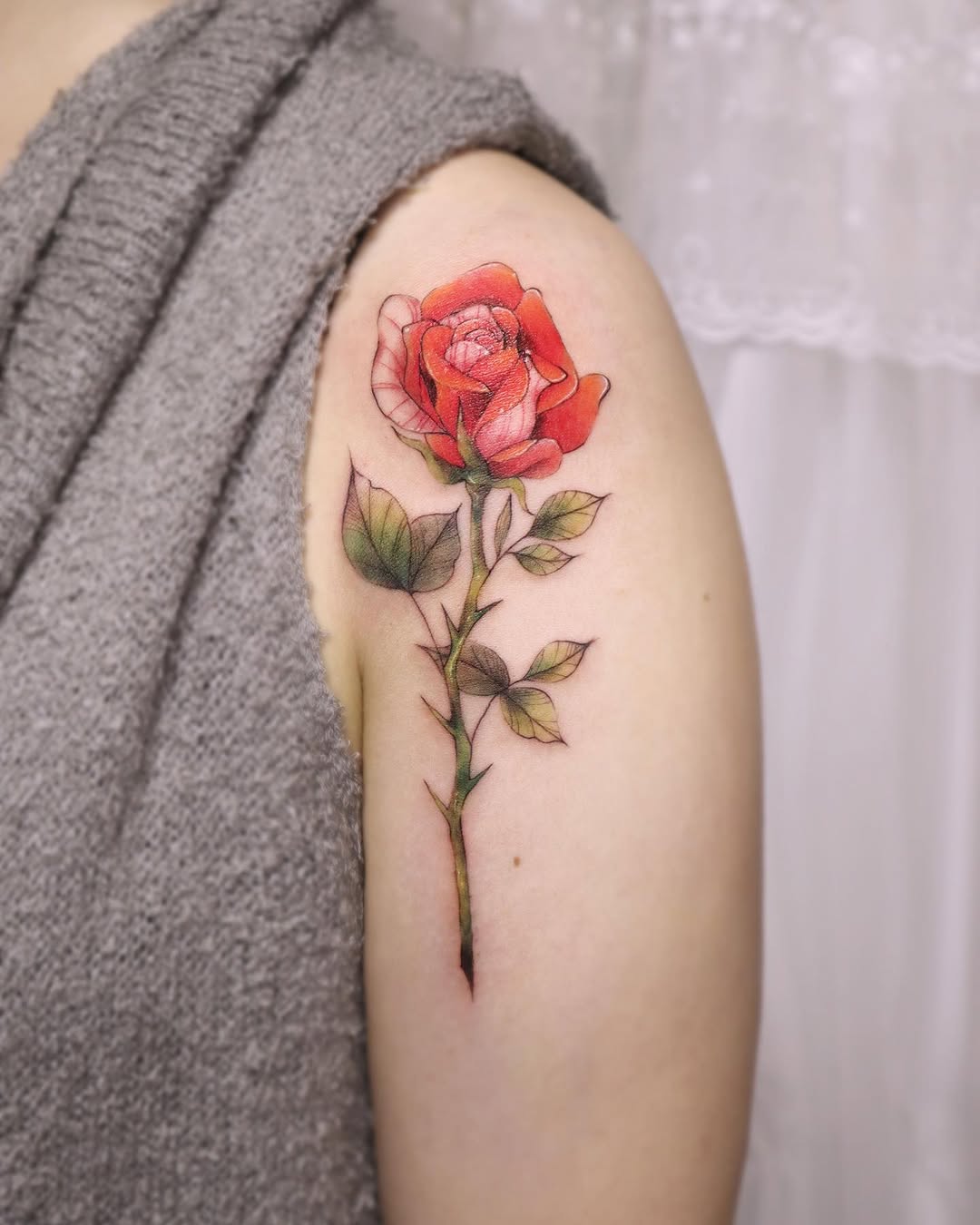 Flower, Rose, Nature