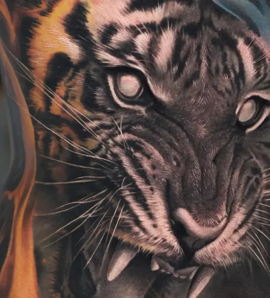 Tiger