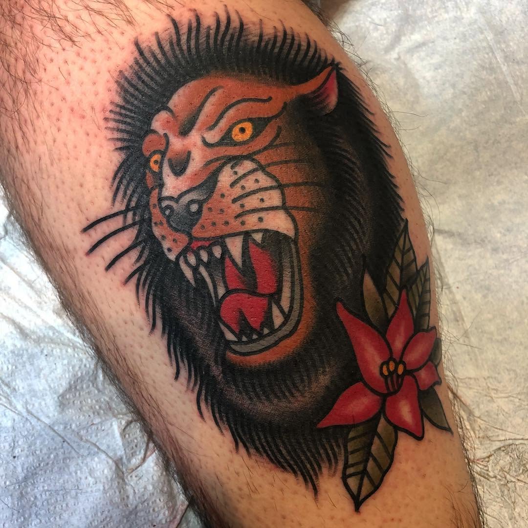 Tiger, Animal