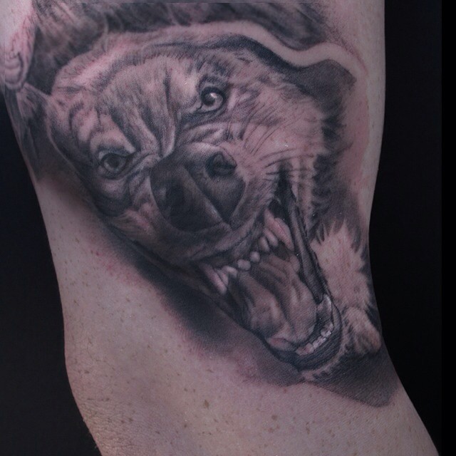 Animal, Tiger