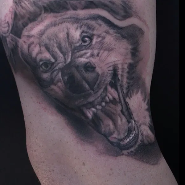 Animal, Tiger