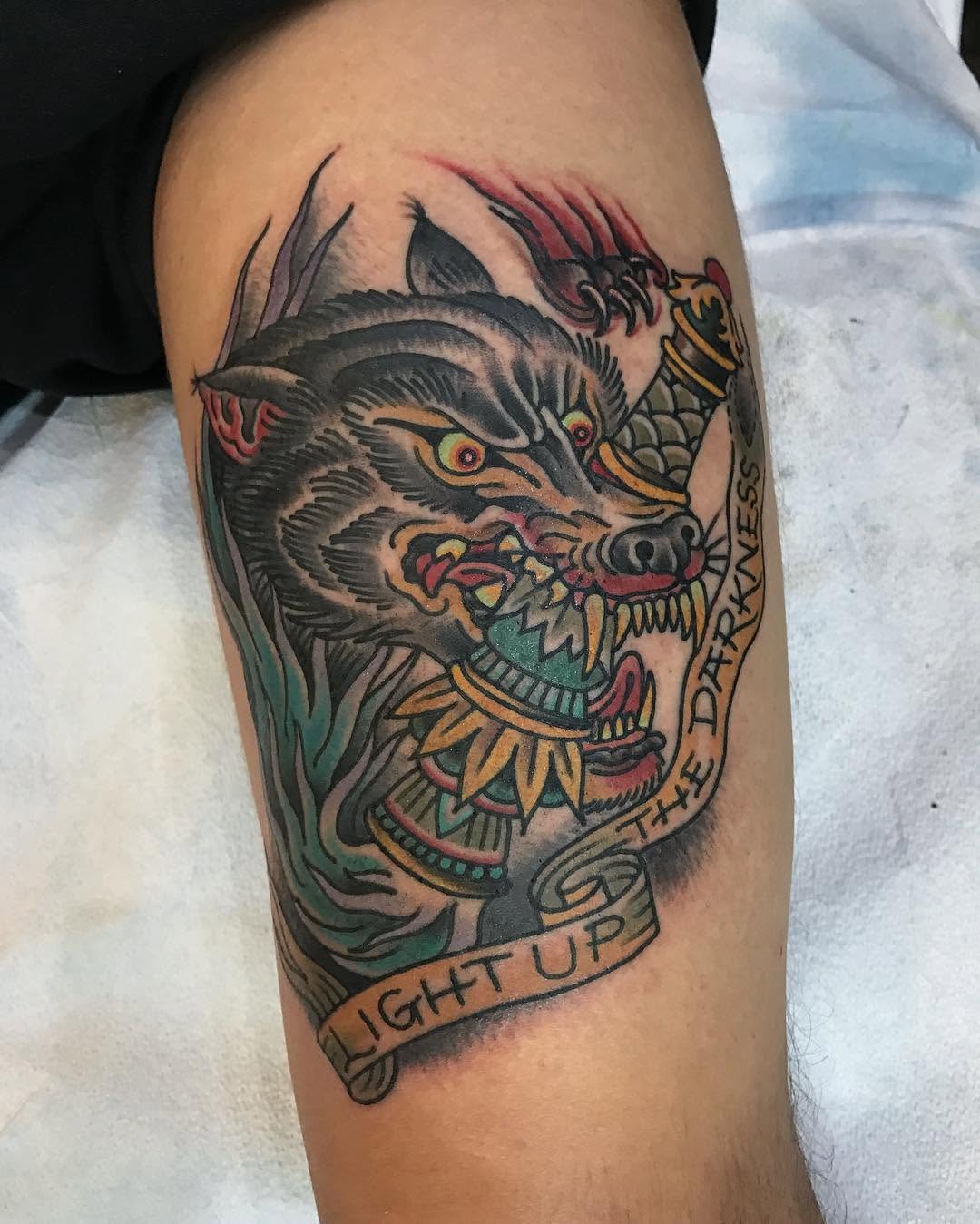Tiger, Animal