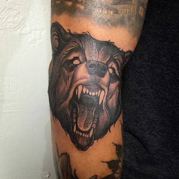 Animal, Tiger