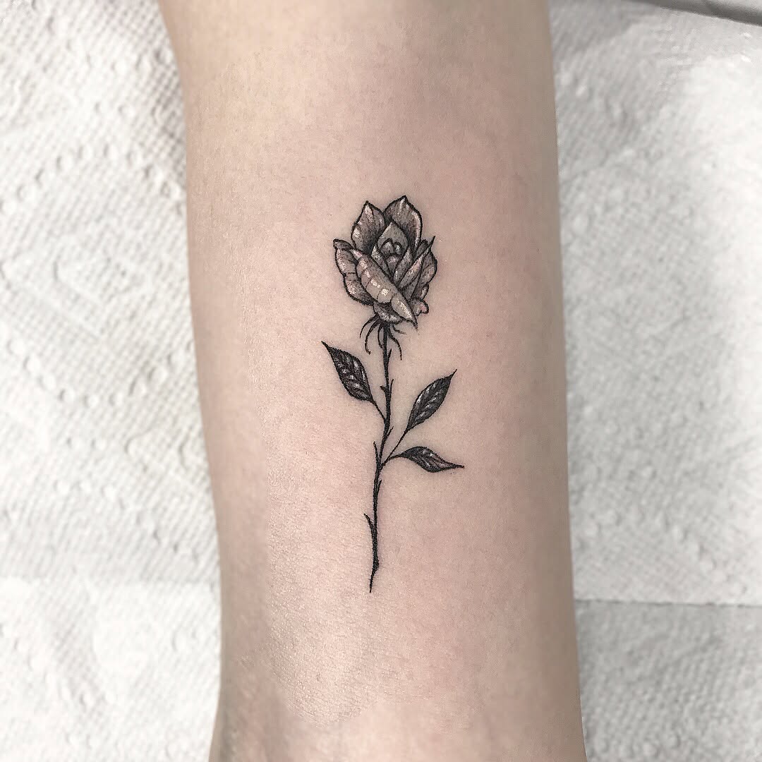 Flower, Rose