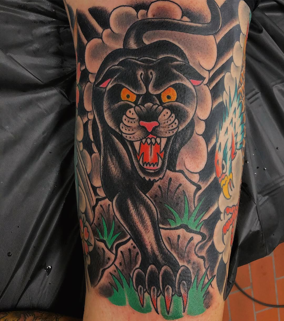 Tiger, Animal