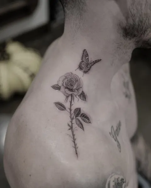 Flower, Rose, Nature